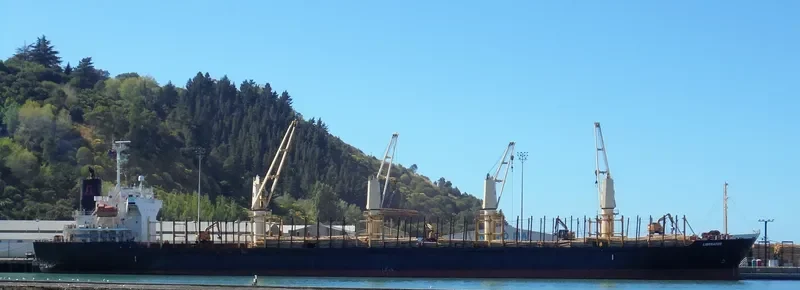 LIBERATOR Bulk Carrier IMO 9364851 photo 9