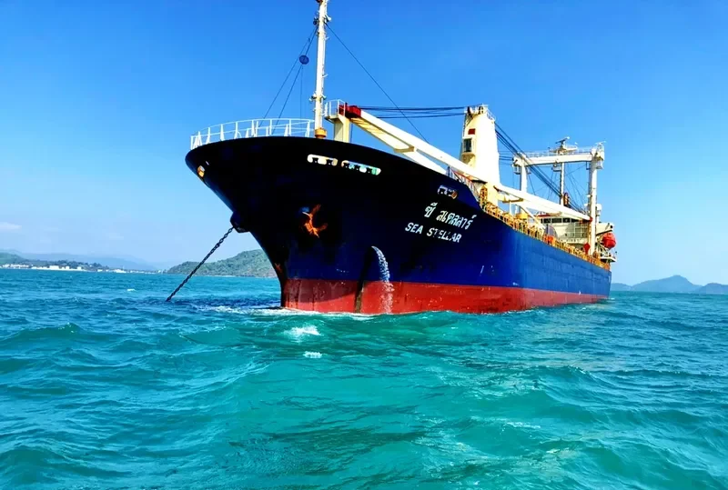 SEA STELLAR General Cargo IMO 9364875 photo 5