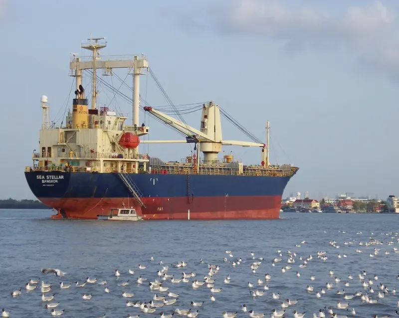 SEA STELLAR General Cargo IMO 9364875 photo 7