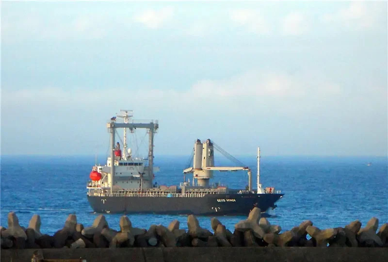SEIYO HONOR General Cargo IMO 9364887 photo 3
