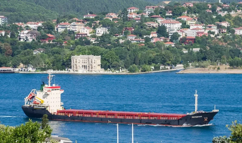 ALEXIA I General Cargo IMO 9365049 photo 9