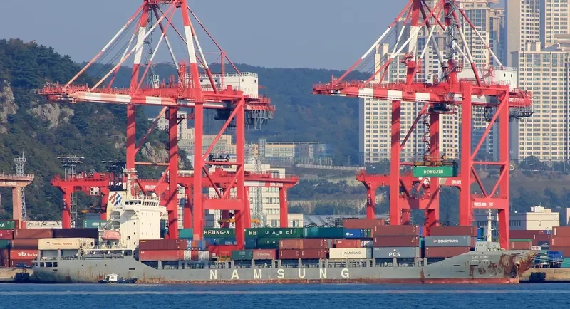 STAR APEX Container Ship IMO 9365154 photo 3