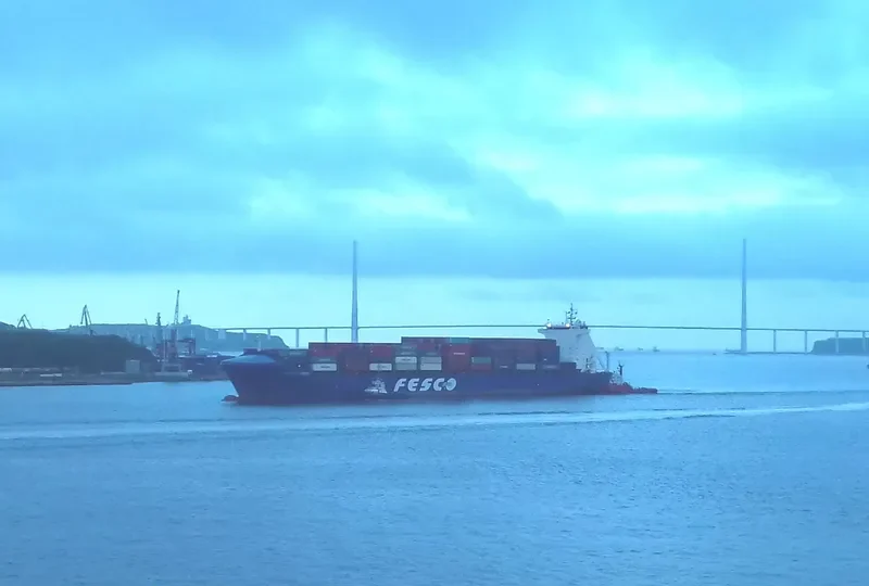 FESCO DIOMID Container Ship IMO 9365295 photo 4