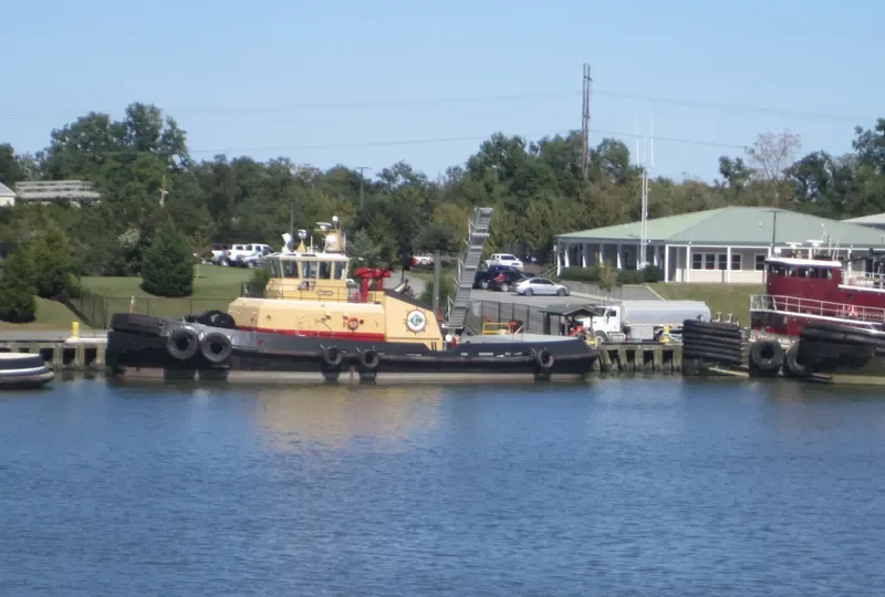 BULL DOG General Cargo IMO 9365324 photo 4