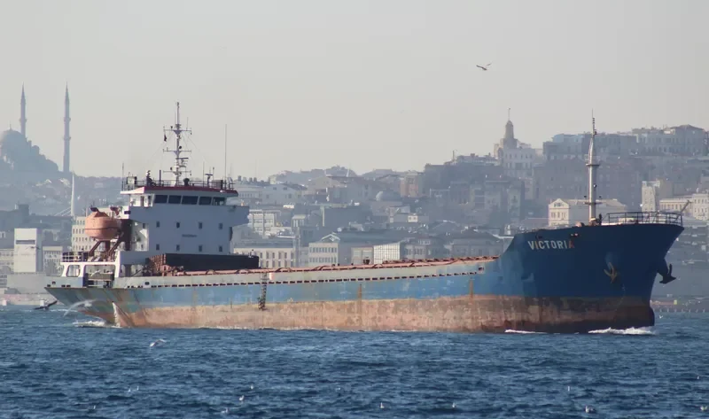 VICTORIA General Cargo IMO 9365415
