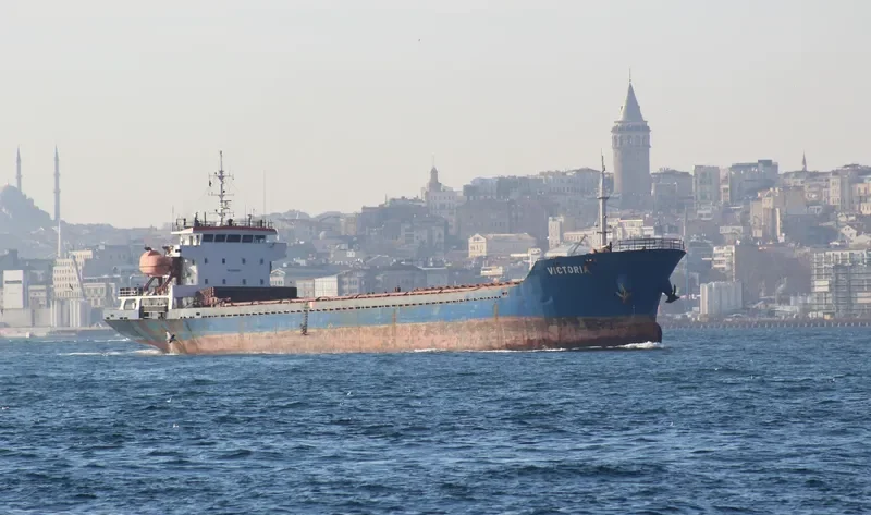 VICTORIA General Cargo IMO 9365415 photo 2