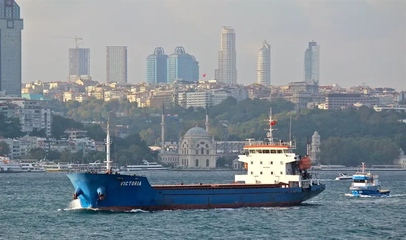 VICTORIA General Cargo IMO 9365415 photo 6