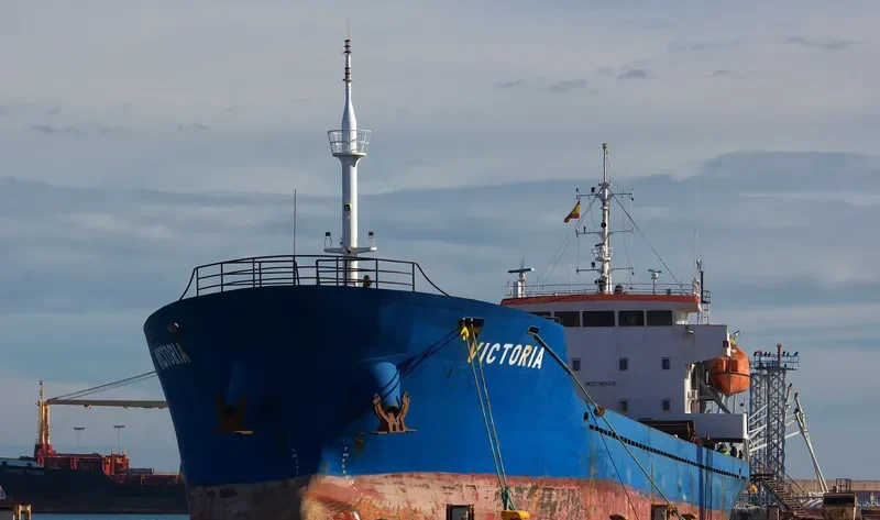 VICTORIA General Cargo IMO 9365415 photo 8