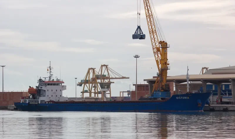 VICTORIA General Cargo IMO 9365415 photo 10