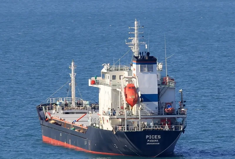 PICES General Cargo IMO 9365439