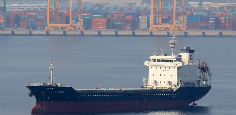 PICES General Cargo IMO 9365439 photo 2