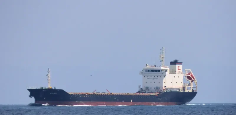 PICES General Cargo IMO 9365439 photo 4