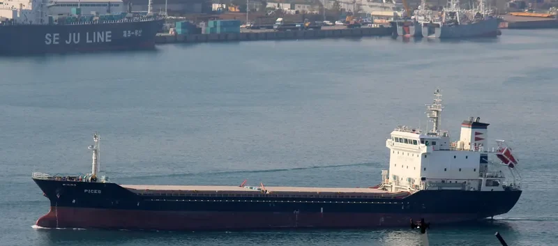 PICES General Cargo IMO 9365439 photo 9