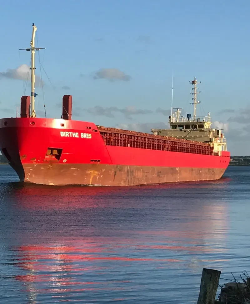 BIRTHE BRES General Cargo IMO 9365491 photo 3