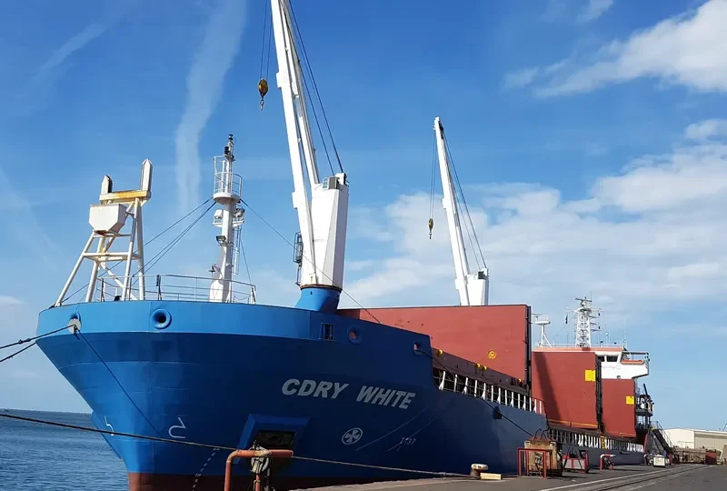 CDRY WHITE General Cargo IMO 9365506
