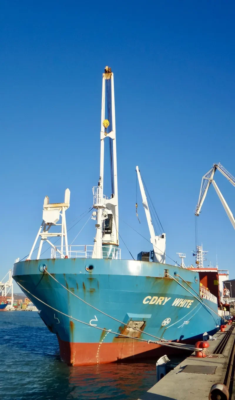 CDRY WHITE General Cargo IMO 9365506 photo 2