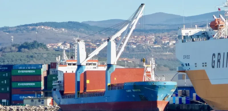 CDRY WHITE General Cargo IMO 9365506 photo 3