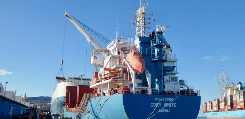 CDRY WHITE General Cargo IMO 9365506 photo 4