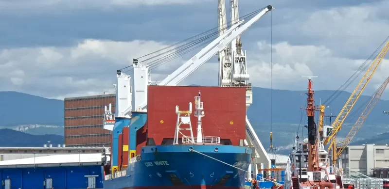 CDRY WHITE General Cargo IMO 9365506 photo 7
