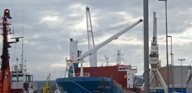 CDRY WHITE General Cargo IMO 9365506 photo 8