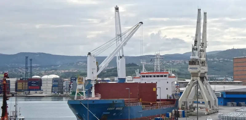 CDRY WHITE General Cargo IMO 9365506 photo 9