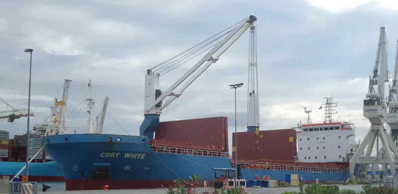 CDRY WHITE General Cargo IMO 9365506 photo 10