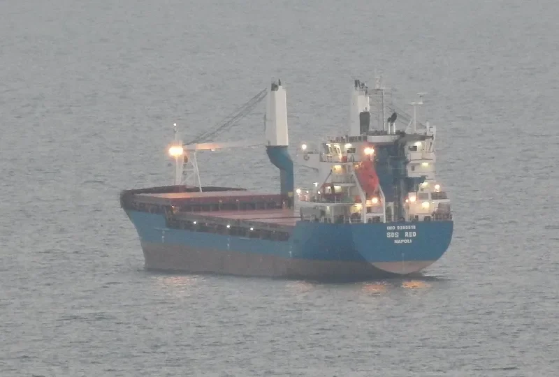 SDS RED General Cargo IMO 9365518