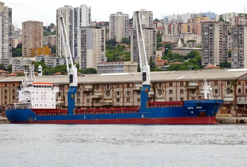 SDS RED General Cargo IMO 9365518 photo 3