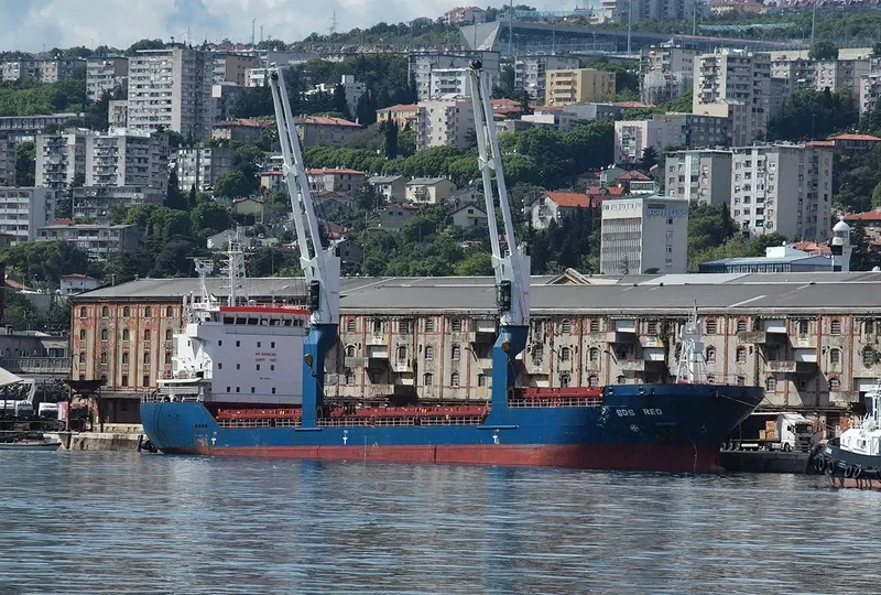 SDS RED General Cargo IMO 9365518 photo 4
