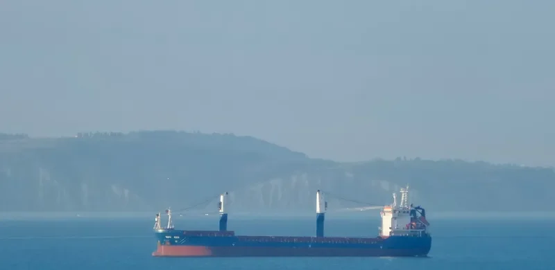SDS RED General Cargo IMO 9365518 photo 7