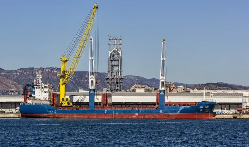 SDS RED General Cargo IMO 9365518 photo 10