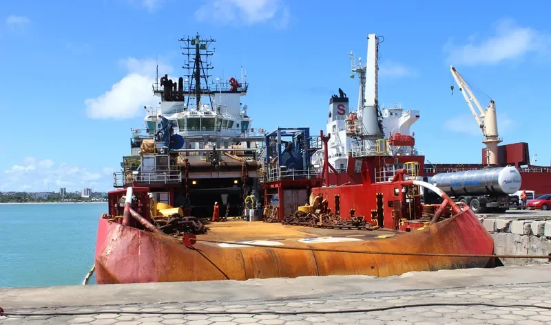 SKANDI FLUMINENSE General Cargo IMO 9365582 photo 5