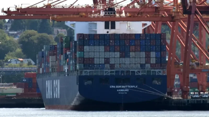 CMA CGM BUTTERFLY Container Ship IMO 9365790