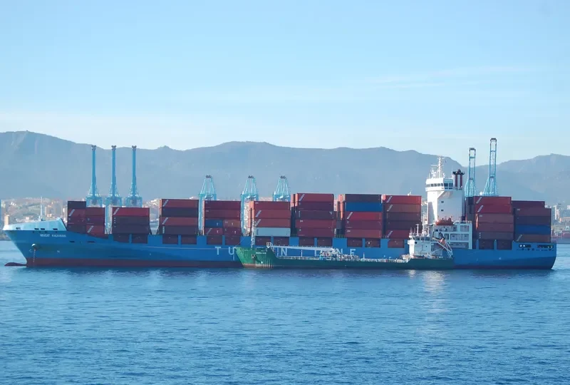 NEVZAT KALKAVAN Container Ship IMO 9365867