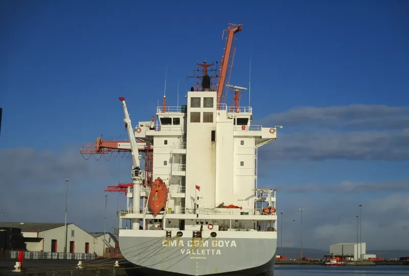 CMA CGM GOYA Container Ship IMO 9365972