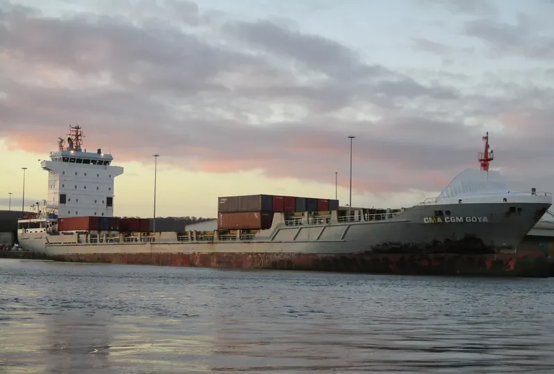 CMA CGM GOYA Container Ship IMO 9365972 photo 2