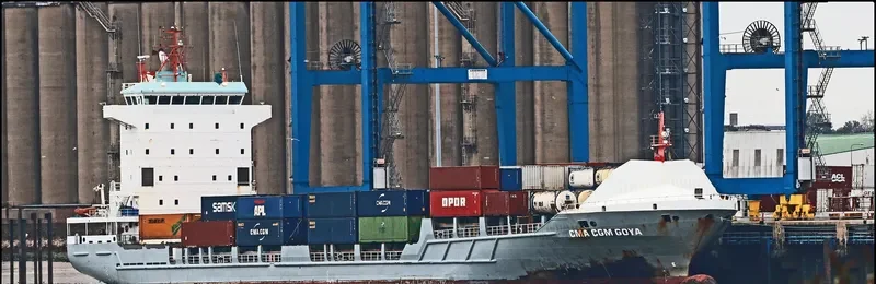 CMA CGM GOYA Container Ship IMO 9365972 photo 7
