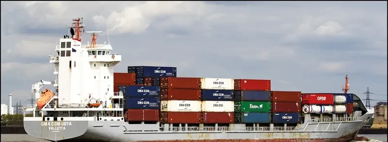 CMA CGM GOYA Container Ship IMO 9365972 photo 8