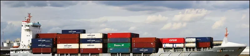 CMA CGM GOYA Container Ship IMO 9365972 photo 9