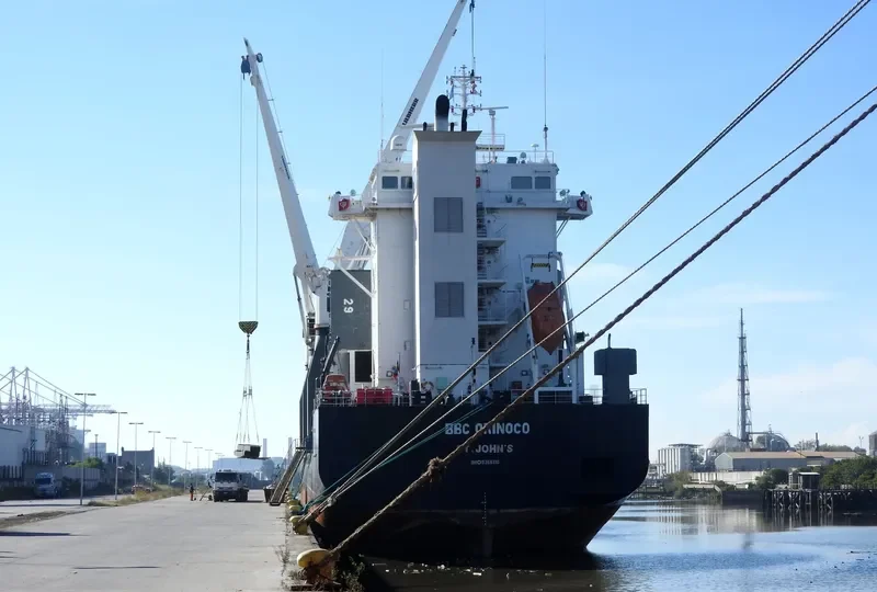 MYS ZHELANIYA General Cargo IMO 9366110 photo 3