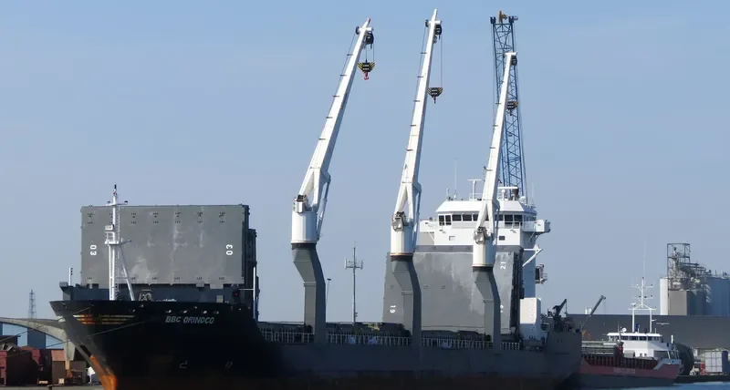 MYS ZHELANIYA General Cargo IMO 9366110 photo 4