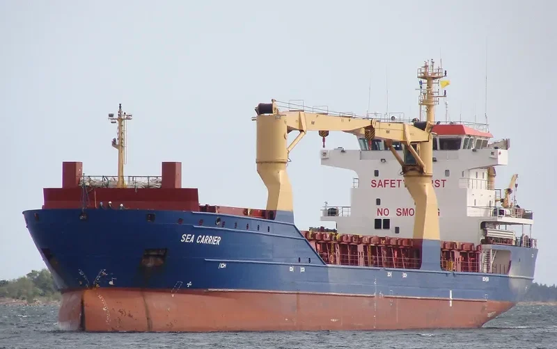 SEA CARRIER General Cargo IMO 9366122 photo 9