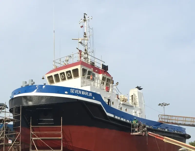 SEVEN MARLIN General Cargo IMO 9366249 photo 2