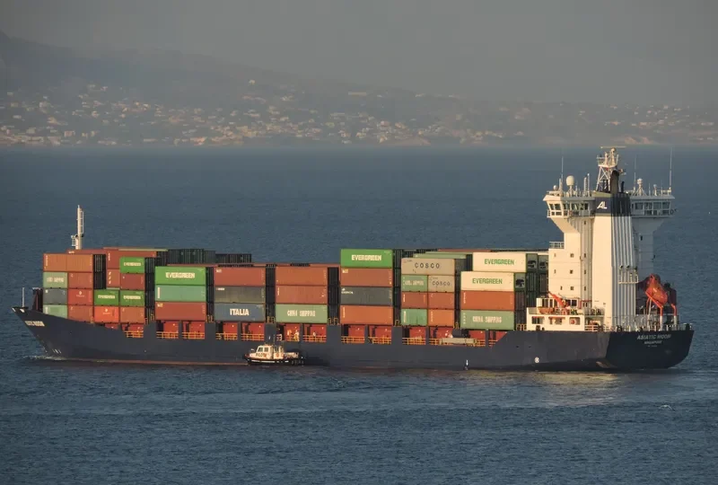 MSC MOON F Container Ship IMO 9366421 photo 2
