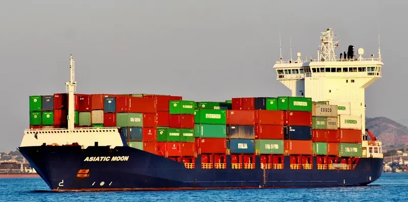 MSC MOON F Container Ship IMO 9366421 photo 3