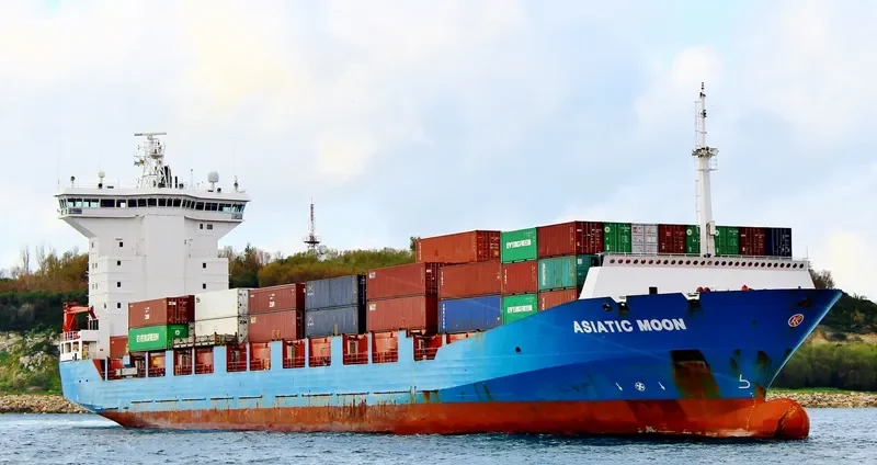 MSC MOON F Container Ship IMO 9366421 photo 7