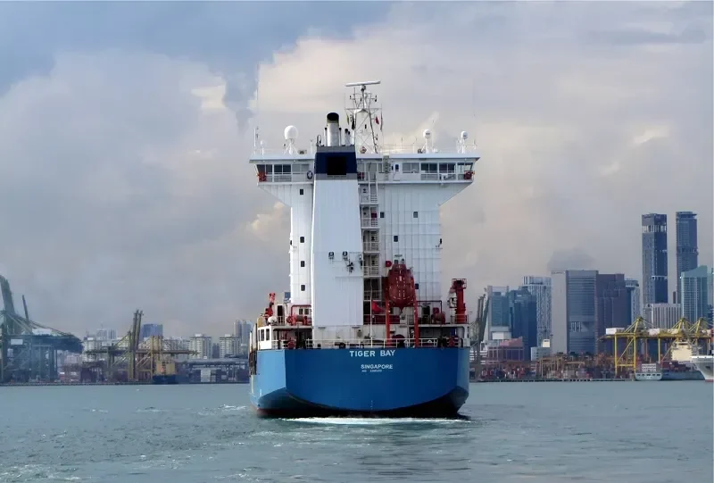 ASIATIC BAY Container Ship IMO 9366433 photo 3