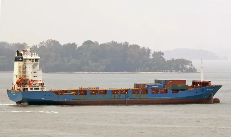ASIATIC BAY Container Ship IMO 9366433 photo 5
