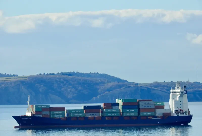 ASIATIC ISLAND Container Ship IMO 9366483 photo 3