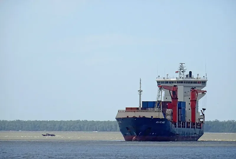 CFS WIND Container Ship IMO 9366495